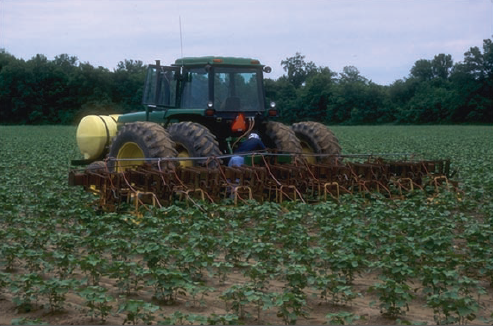 Mississippi Delta