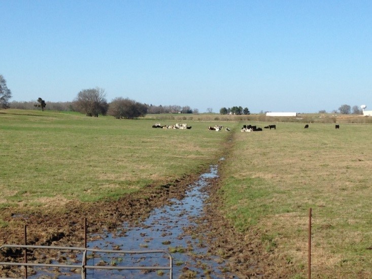 Healthy Watersheds Working Group