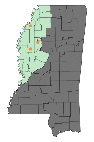 Mississippi Delta