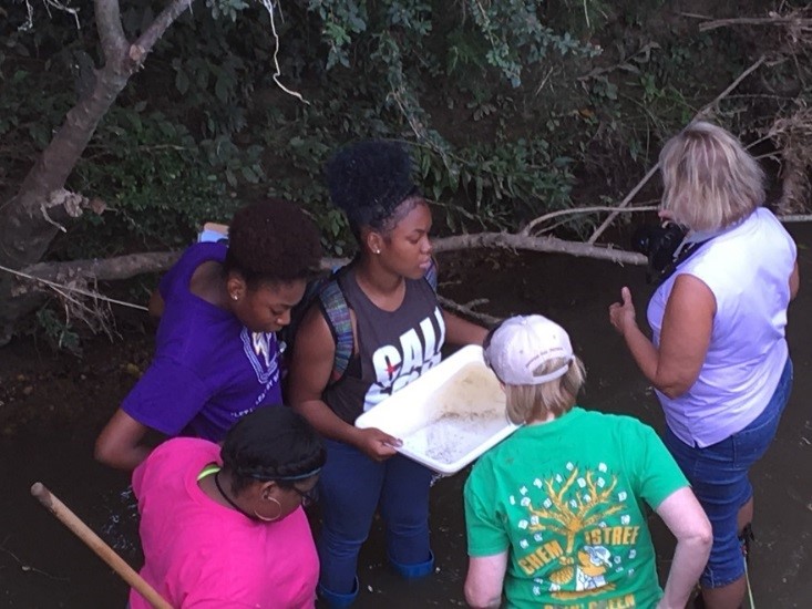 Hydrology, Stream Ecology and Water Quality