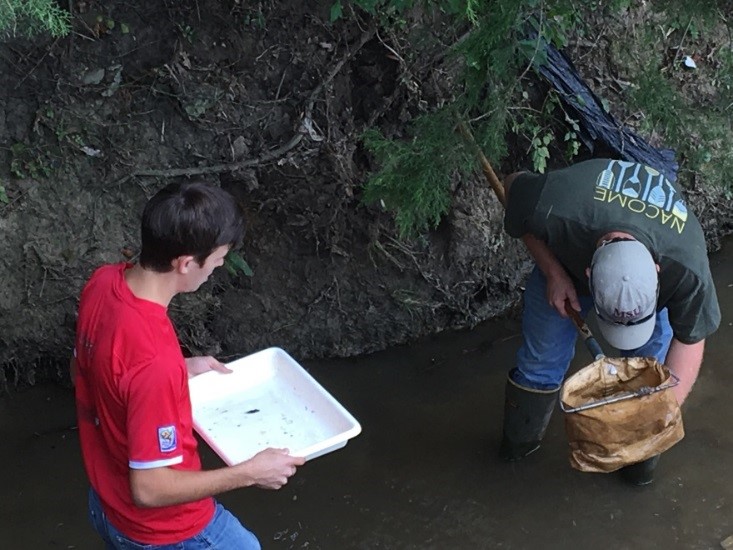 Hydrology, Stream Ecology and Water Quality