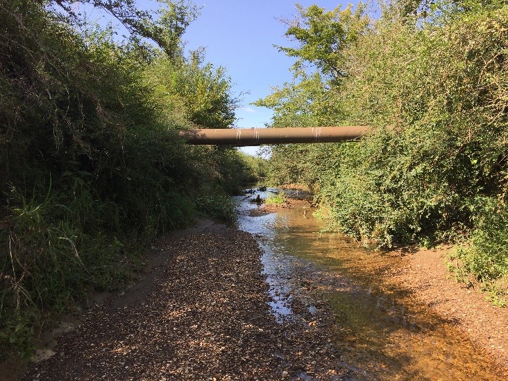 Catalpa Creek Watershed
