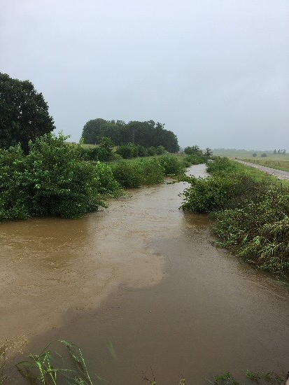 Catalpa Creek Watershed