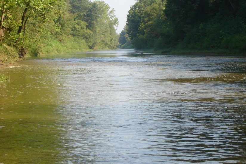 Stream Restoration Working Group