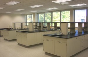 Lab